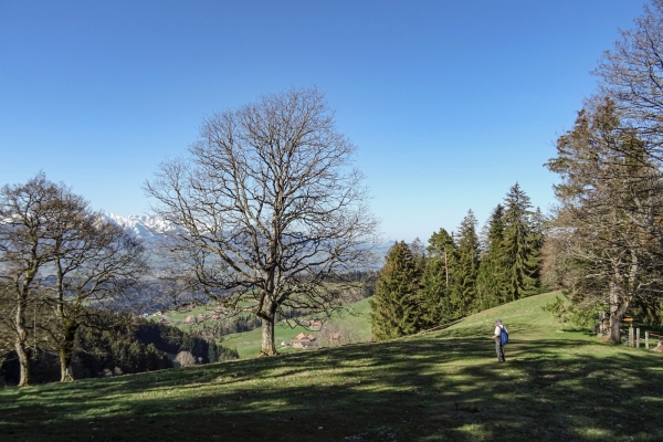 Vue dégagée sur les sommets des Préalpes