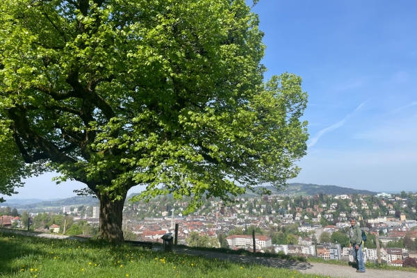 Spielend wandern ins Herz von St. Gallen