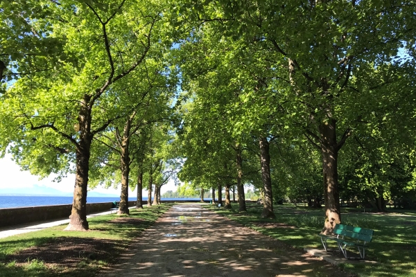 Randonnée au bord du lac Léman