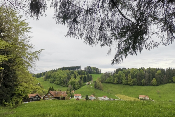 Trainingstour im Appenzeller Vorland