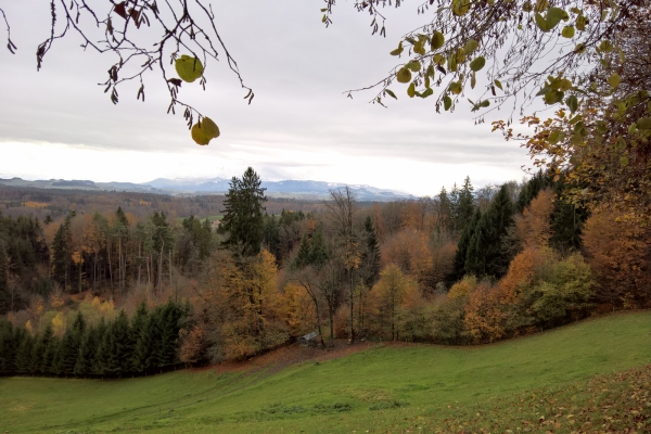 Direction Berne, le long du Gäbelbach