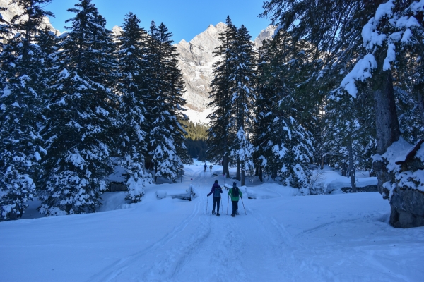 Sur l’alpage enneigé de Solalex