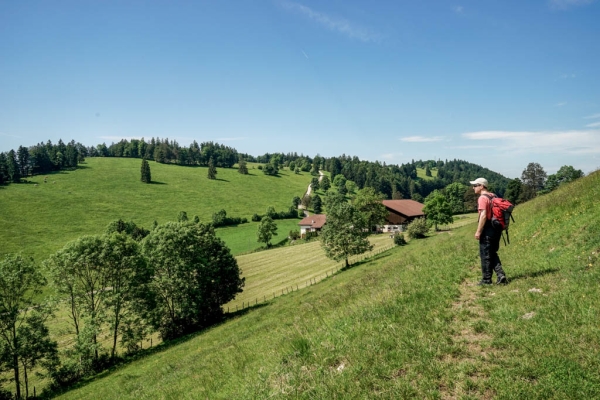 Über mehrere Jurafalten nach Moutier