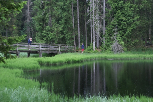 Etang de la Gruère