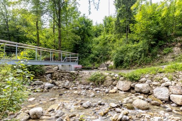 Farbenpracht im Appenzellerland