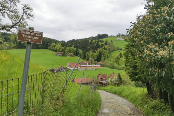 Giro nel distretto di Vorderland dell’Appenzello