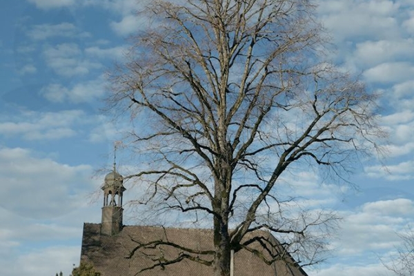 Esprit des lieux : Des chapelles au pays de Gruyère