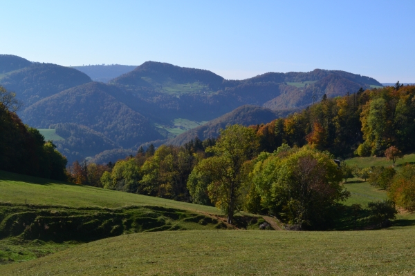 A pied dans le Schwarzbubenland