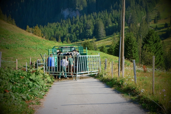 Zur Hochmatt über dem Jauntal