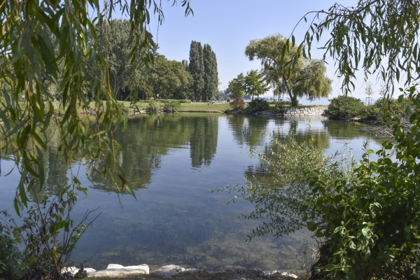 De la presqu’île au lac de Neuchâtel