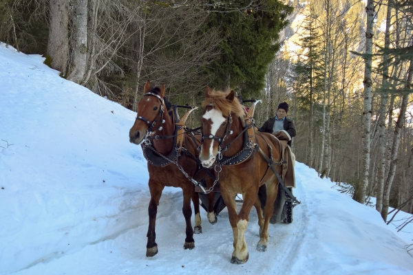 Höhenweg in Braunwald