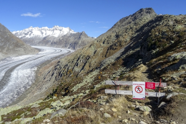 Hoch über dem Aletschgletscher