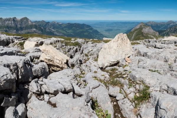 Au sommet du Schilt au-dessus de Glaris