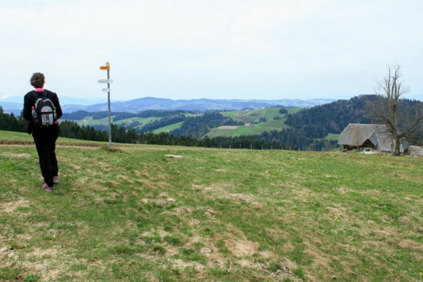 Chemin de crêtes en Emmental