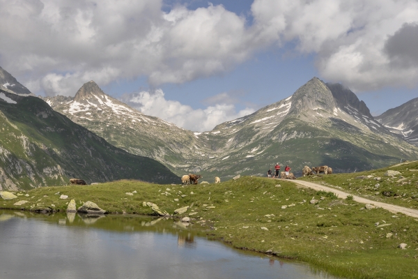 Durch 44 Kehren am Lolenpass