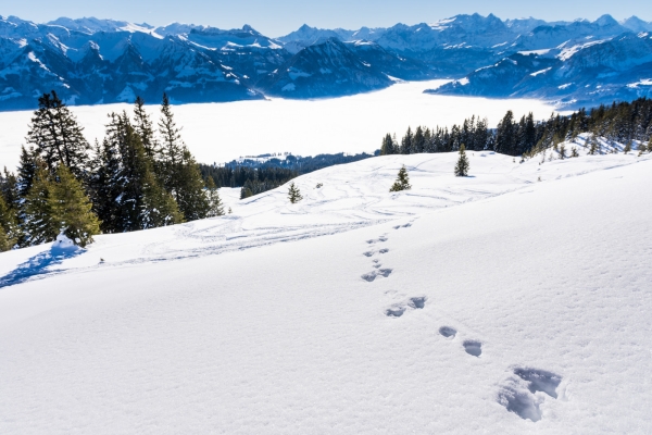 Sentier panoramique à Obwald