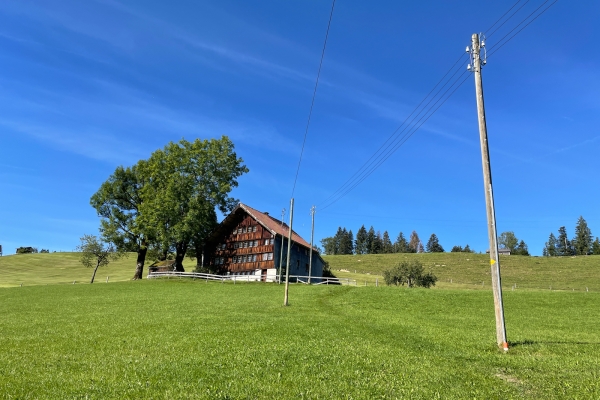 À travers le pays verdoyant d’Appenzell