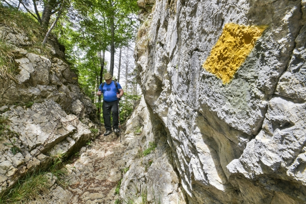 Géologie de la colline du Hirnichopf