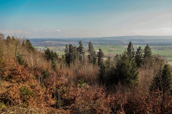 Au sud du lac de Bienne