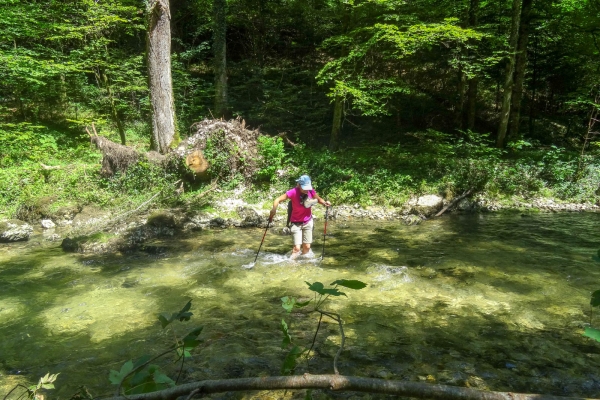 Schattig und kühl unterwegs im Jura