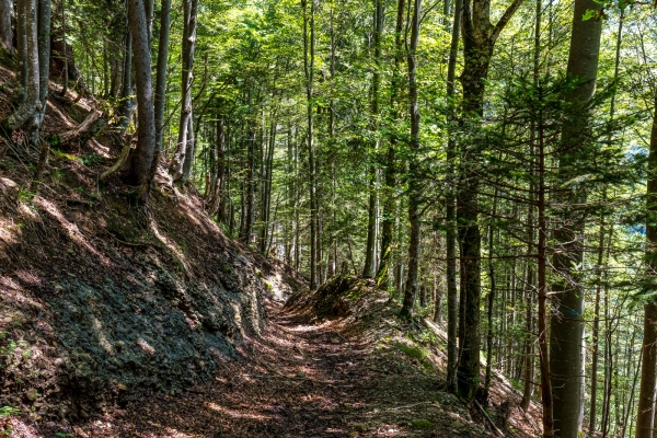 Vers Schwägalp par les gorges d’Ofenloch (AR)