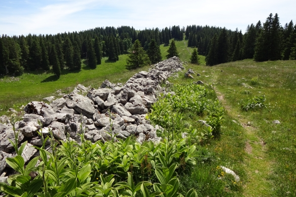 Gipfelabenteuer im Waadtländer Jura