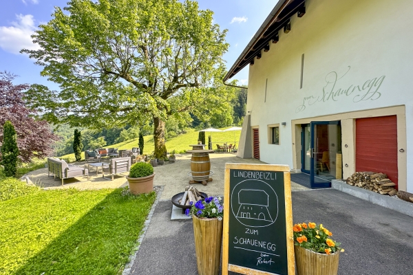 De château en château aux portes de Bâle