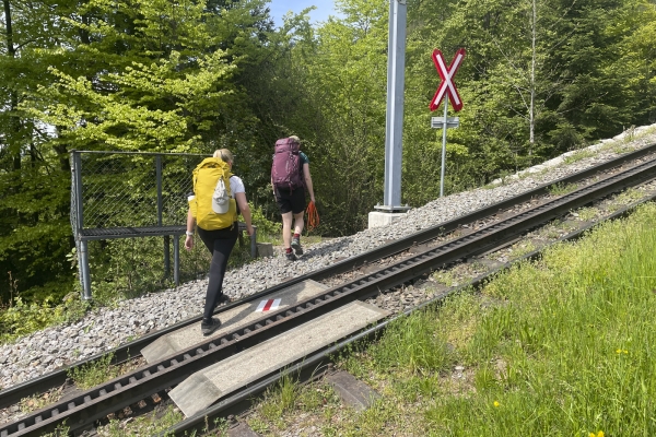 Milder Frühling und viel Aussicht an der Rigi