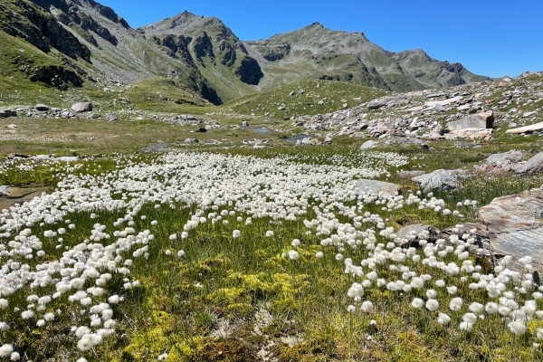 En passant par le col de Sirwoltusattel