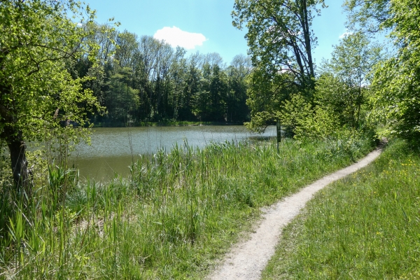 In der Thurgauer Ländlichkeit