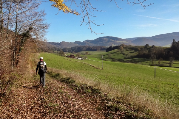 Dans le Val Terbi