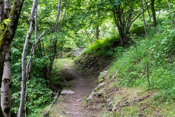 Sur des chemins isolés dans la verte Valle di Vergeletto