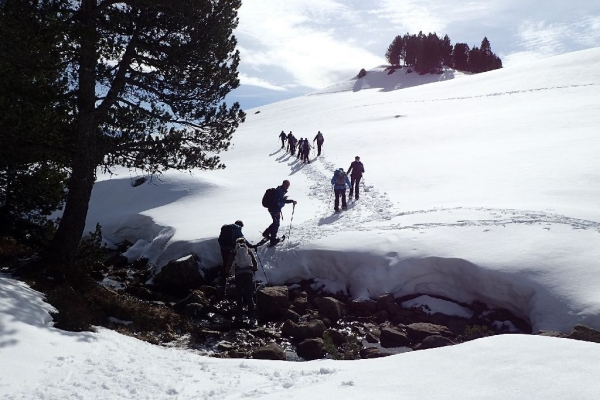 Schneeschuhwanderung Brünig - Halgenflue