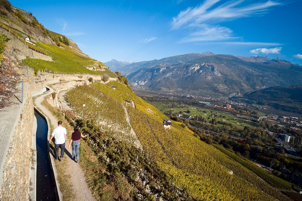 Bisse de Clavau im Rebhang