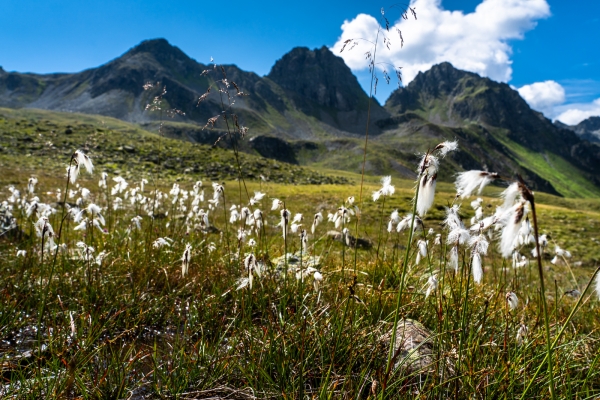 Boucle autour de la Schijenflue