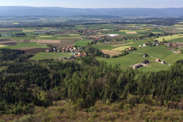 Randonnée dans les collines du pays bernois