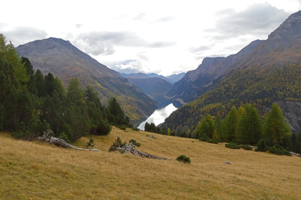 Prodiges au Parc national