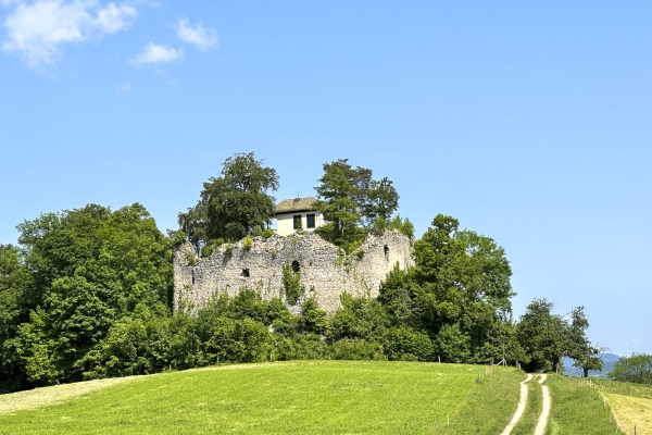 Von Burg zu Burg vor den Toren von Basel