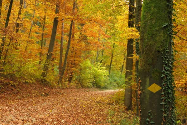 Auch ein Hügel ist ein Berg