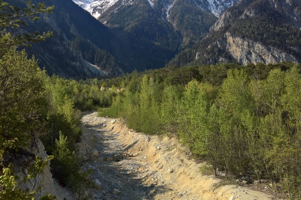 Frühlingstour durch den Pfynwald