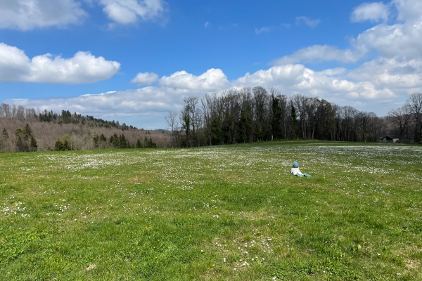 Den Grenzsteinen in der Ajoie nach