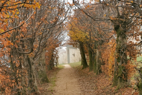 Weitsicht im Luzerner Hinterland