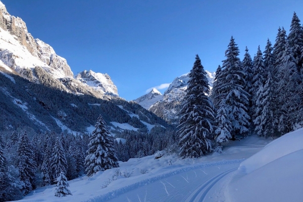 Schneeschuhwanderung Wiler - Gadmen