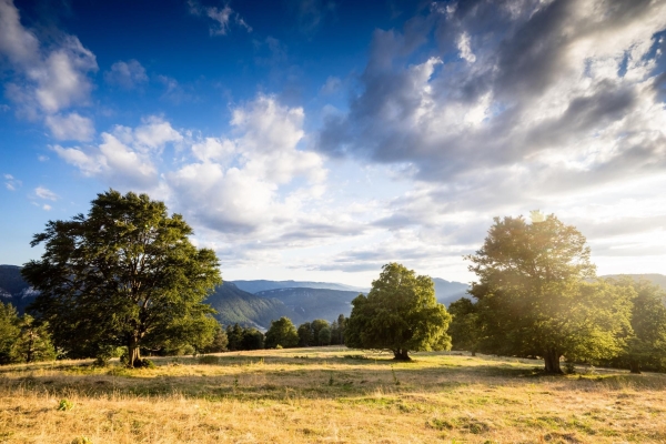 Mont Raimeux (***/T1)