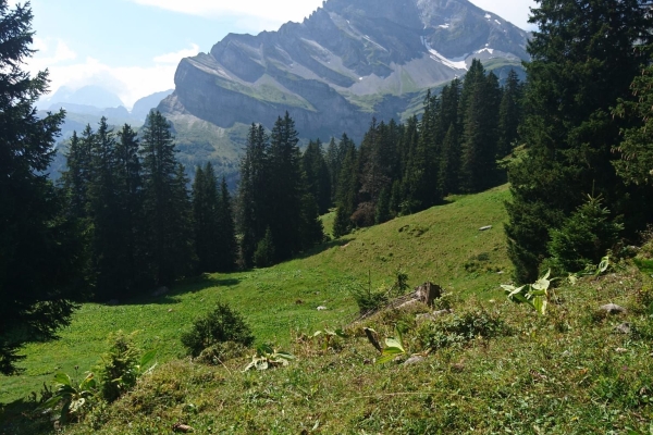 Rundwanderung Braunwald