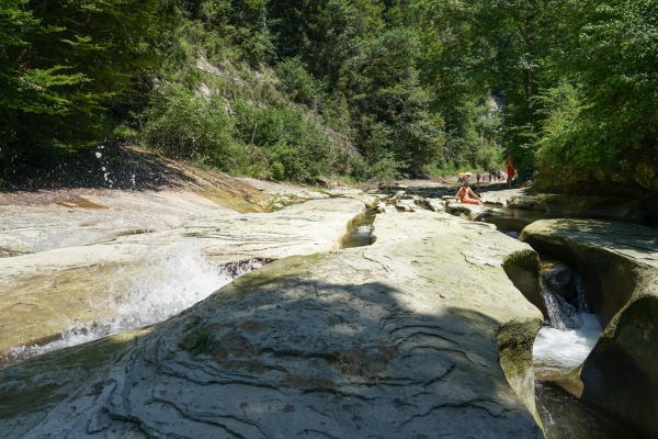 Vom Schwarzwasser an die Sense