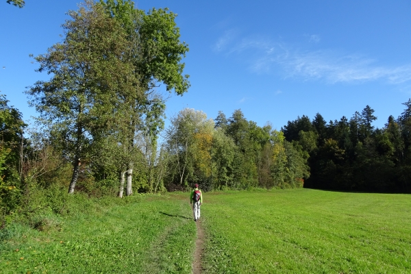 Beschauliche Landschaften im Mittelland