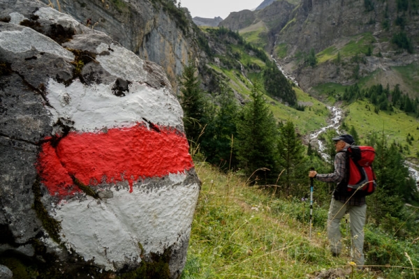 Entre pâturages verdoyants et roches grises