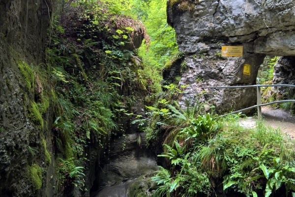 Rundwanderung im Solothurner Jura 