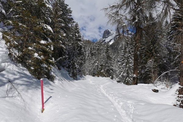 Randonnée hivernale au pied des Muverans